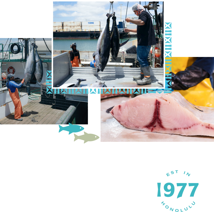 Fresh Island Fish operations collage