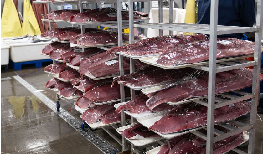 Aloha State Daily: Behind the scenes at Fresh Island Fish and Pier 38 Fish Market